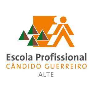 SecureAPlus Education & Non-Profit Partners Escola Profissional de Alte